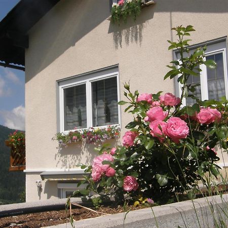 Ferienwohnung Brennseeblick フェルト・アム・ゼー エクステリア 写真